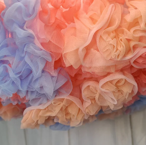 The Fluffiest Tutu for Dance Ever - Picture 2 of 4